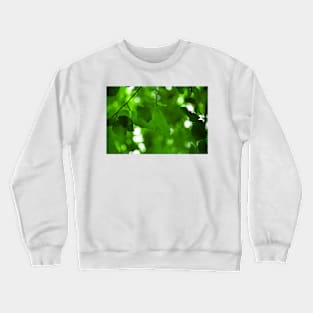 Natures Solar Cells Crewneck Sweatshirt